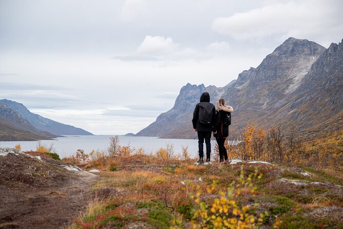 Arctic Fjord Roadtrip with Scenic Picnic from Tromso - From Tromsø City Centre to the Fjords: What This Day Trip Feels Like