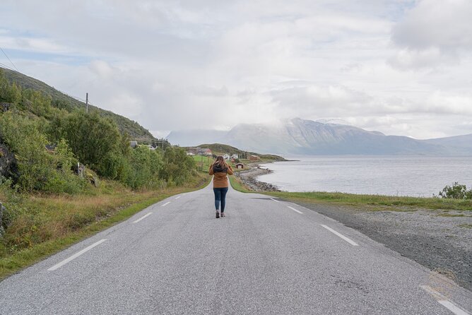 Arctic Fjord Roadtrip with Scenic Picnic from Tromso - Weather, Wind, and Route Changes: How to Think About Arctic Conditions