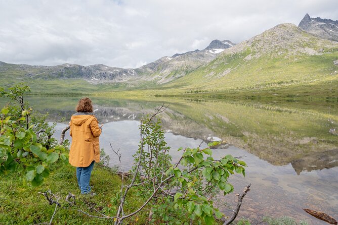 Arctic Fjord Roadtrip with Scenic Picnic from Tromso - Value Check: Is $151.15 a Good Deal?