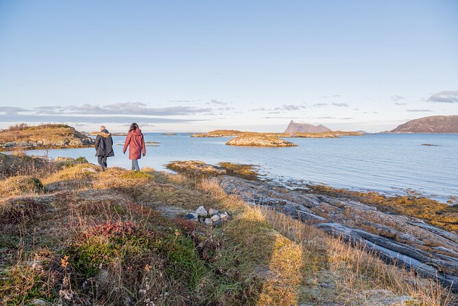 Arctic Fjord Roadtrip with Scenic Picnic from Tromso - Booking Advice for the Best Day on Kvaløya