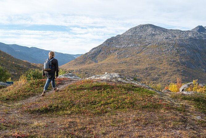 Arctic Fjord Roadtrip with Scenic Picnic from Tromso - Kvaløya Stop: Beaches, Fjords, and Lakes That Mirror the Weather