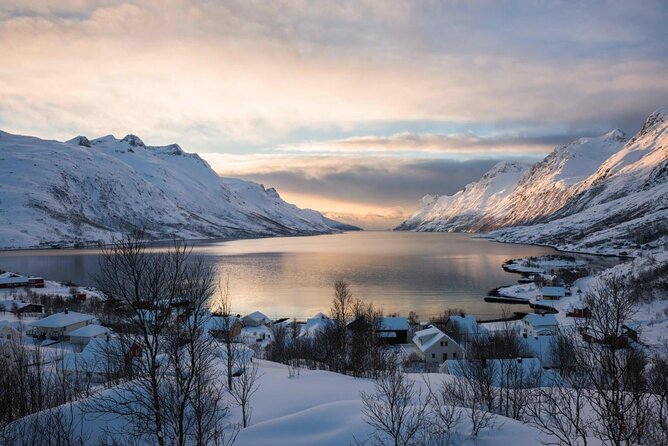 Arctic Fjord Sightseeing by Minibus - Key Things That Make This Tromsø Minibus Fjord Tour Worth Your Time