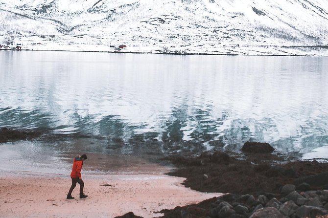 Arctic Fjord Sightseeing by Minibus - First, Understand What This Tour Actually Does for You