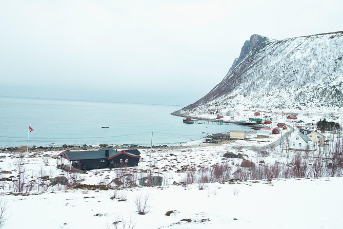 Arctic Fjord Sightseeing by Minibus - Food and Breaks: The Camp-Spot Picnic Plus Hot Drinks