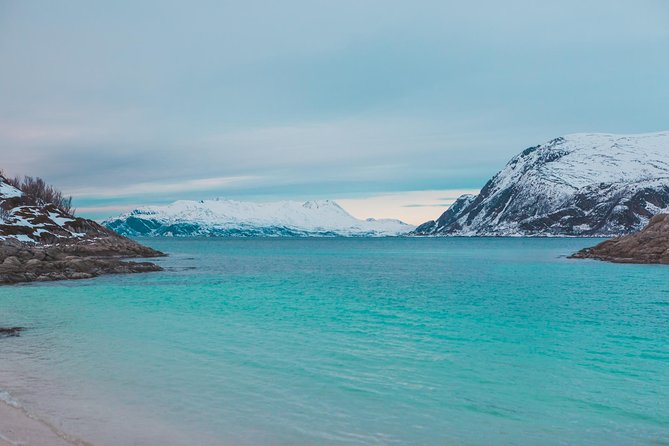 Arctic Fjord Sightseeing by Minibus - Guides and Drivers: What You Can Expect Day to Day