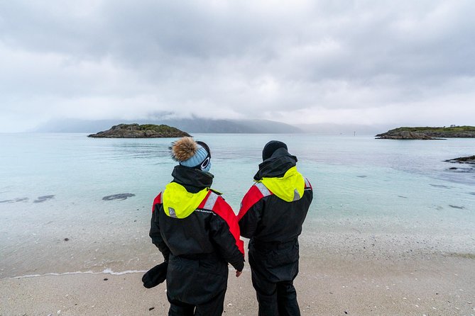 Arctic Fjord Sightseeing by Minibus - Timing, Meeting Point, and How to Plan Your Day in Tromsø