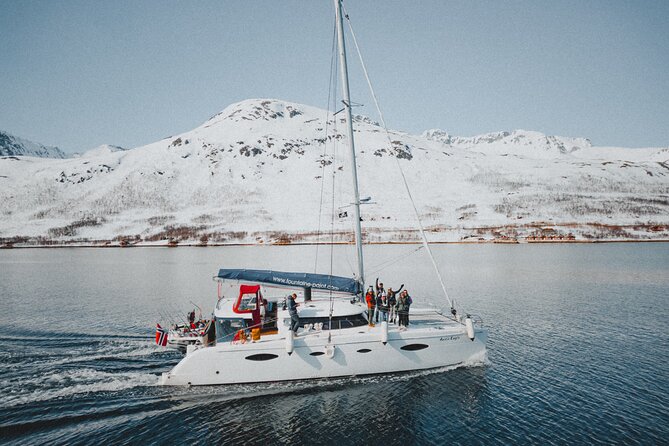 Arctic Fjordcruise & Safari in Tromso with Luxury Catamaran - Fjord cruise highlights: Rya currents, Fjellheisen views, and wildlife odds