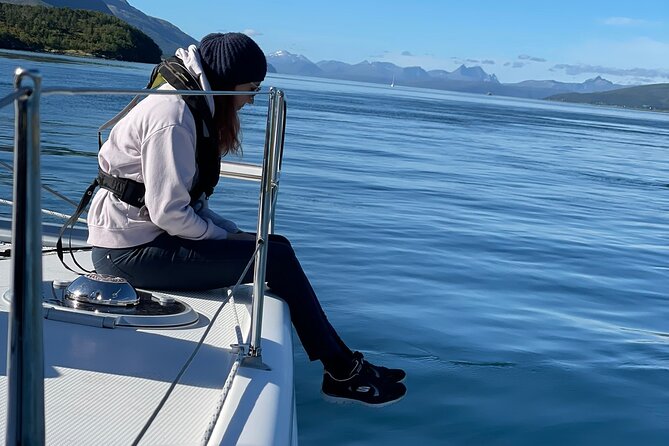 Arctic Fjordcruise & Safari in Tromso with Luxury Catamaran - Fishing and wildlife: what people often hope for, and what you can control