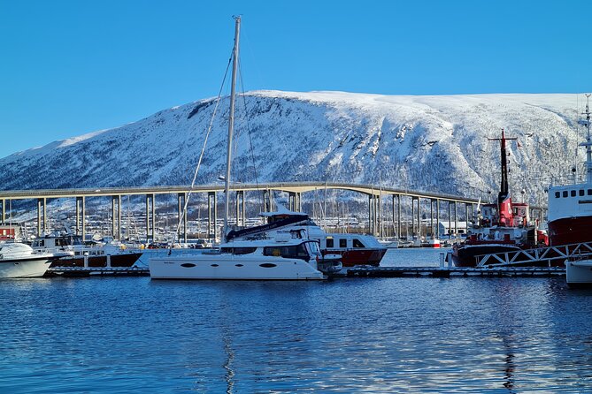 Arctic Fjordcruise & Safari in Tromso with Luxury Catamaran - Who should book this Tromsø catamaran cruise?