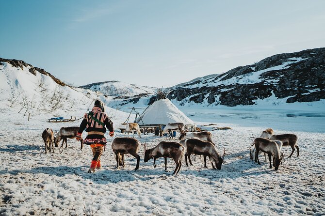 Arctic Fjords and Reindeer Experience – Small group tour - Key Highlights You Should Care About