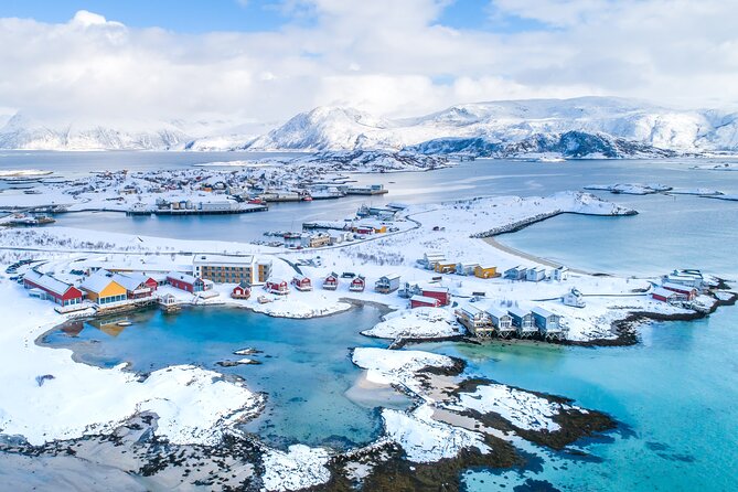 Arctic Fjords and Reindeer Experience – Small group tour - Sommarøy Islands, Beach Walking, and Buffet Lunch at the Arctic Hotel