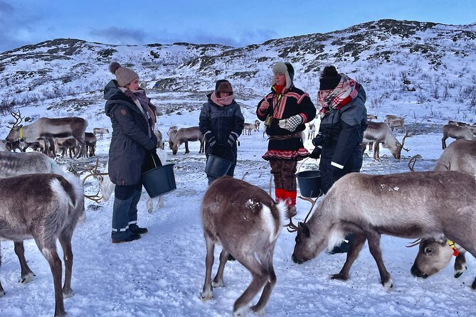 Arctic Fjords and Reindeer Experience – Small group tour - What to Wear and Expect When Weather Changes