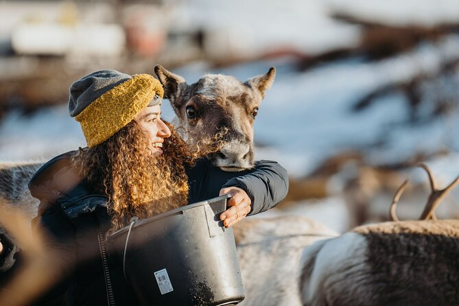 Arctic Fjords and Reindeer Experience – Small group tour - Kvaløya Drive: Coastal Views, Photo Stops, and Timing