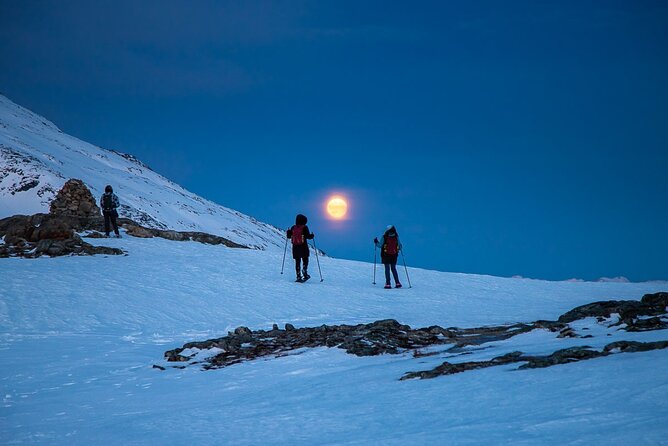 Arctic Landscapes Hiking, Sightseeing & Snowshoeing Private Tour - Weather-first planning: the guide picks your best chance