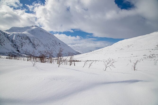 Arctic Landscapes Hiking, Sightseeing & Snowshoeing Private Tour - Stop 1: Tromsø fjords, scenic walking, and photo stops that make sense