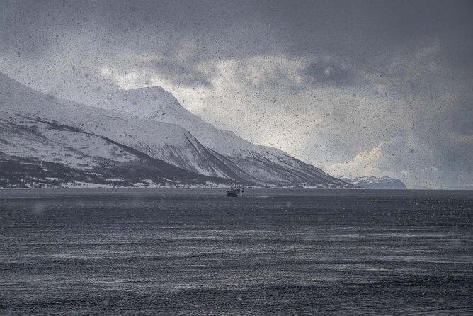 Arctic Landscapes Hiking, Sightseeing & Snowshoeing Private Tour - Lunch, cookies, and warm drinks: the point is to keep you moving