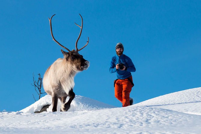 Arctic Nature Photography Sightseeing Tour from Tromso - Key Highlights at a Glance