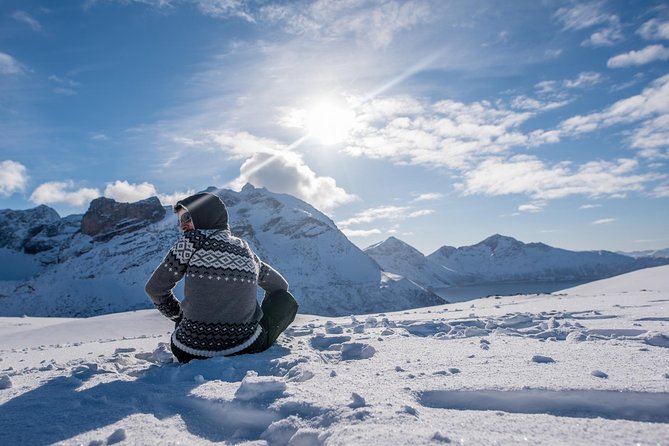 Arctic Nature Photography Sightseeing Tour from Tromso - Kvaløya Views That Turn Into Real Photo Stops