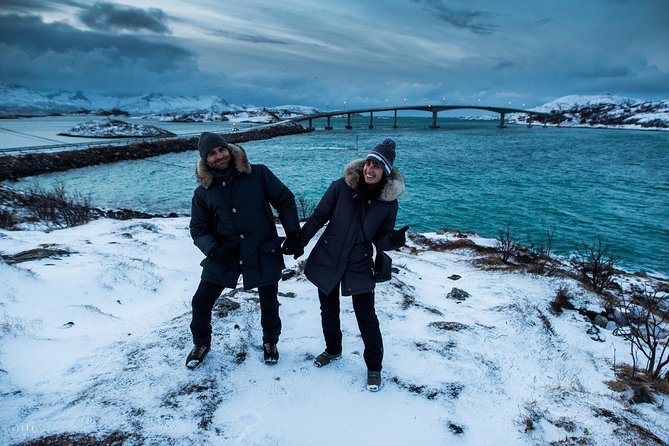 Arctic Nature Photography Sightseeing Tour from Tromso - Wildlife Odds on Kvaløya, and How to Improve Them
