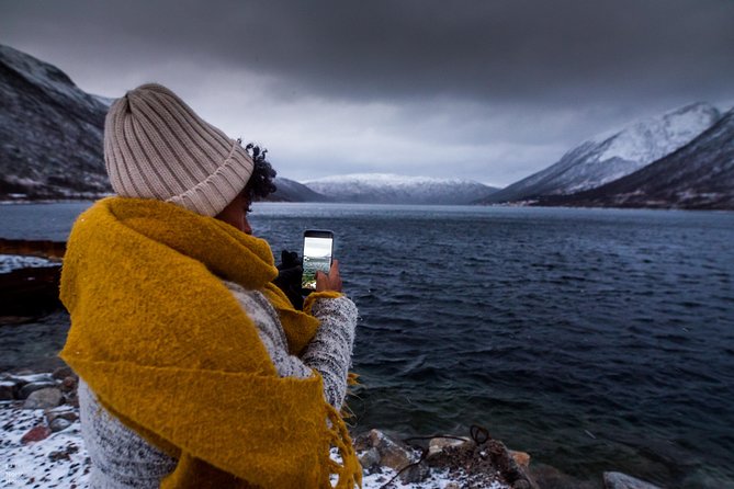 Arctic Nature Photography Sightseeing Tour from Tromso - Price and Value for About $156 in 5 Hours