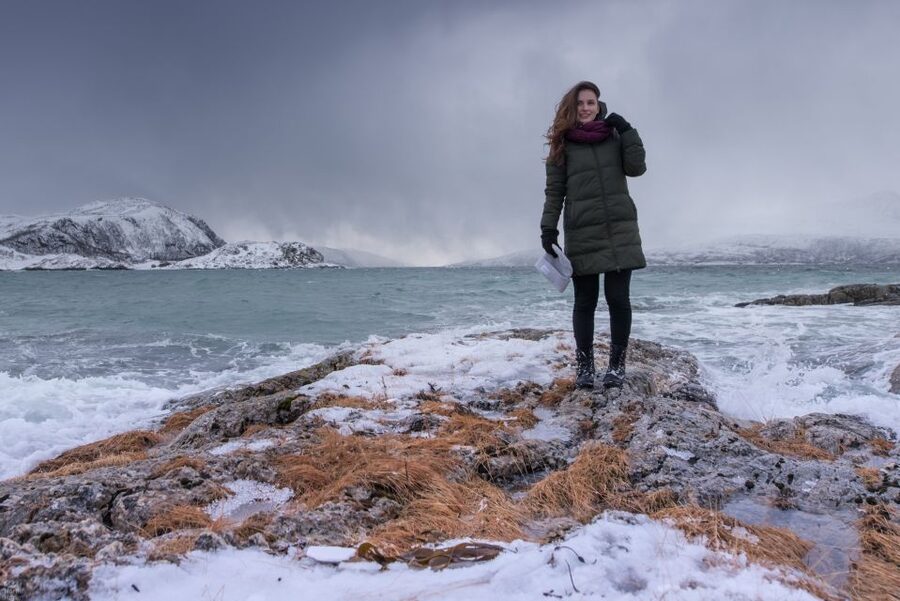 Arctic Nature Tour from Tromsø - Who Should Book This, and Who Might Skip