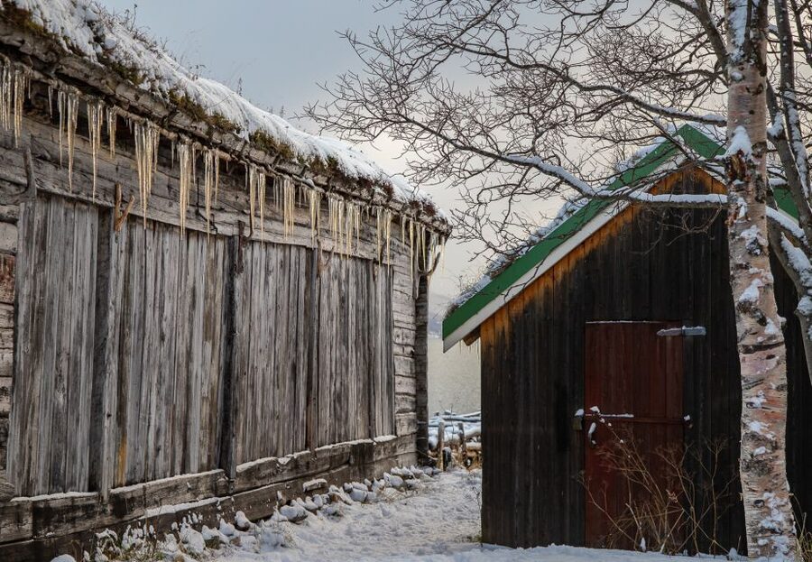Arctic Nature Tour from Tromsø - Warm Gear and Hot Drinks: The Real Secret to Enjoying the Arctic