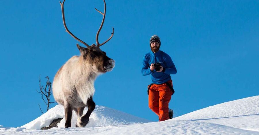 Arctic Nature Tour from Tromsø - Photo Stops That Don’t Feel Like Work