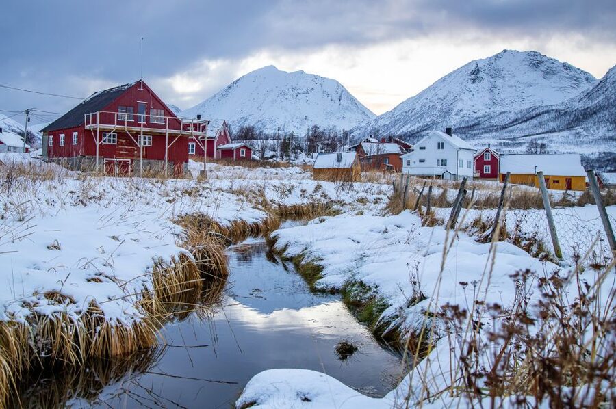 Arctic Nature Tour from Tromsø - Small Group (Up to 15) and Minibus Comfort: Worth It