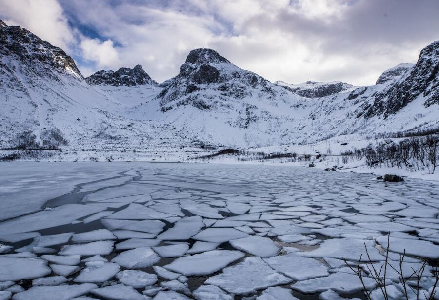 Arctic Nature Tour from Tromsø - Price and Value: Why $142 Often Makes Sense Here