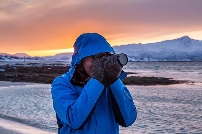 Arctic Nature Tour from Tromsø by minibus - Your guide is the difference between a drive and an experience