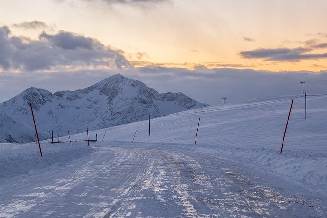 Arctic Nature Tour from Tromsø by minibus - Fjord and mountain viewpoint stops, with time to actually see