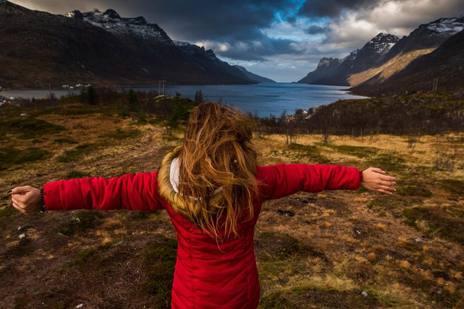 Arctic Nature Tour from Tromsø by minibus - Food, hot drinks, and allergy-friendly snacks