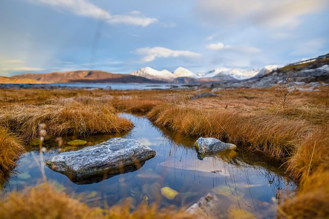 Arctic Nature Tour from Tromsø by minibus - Photo delivery and the value of having someone shoot you