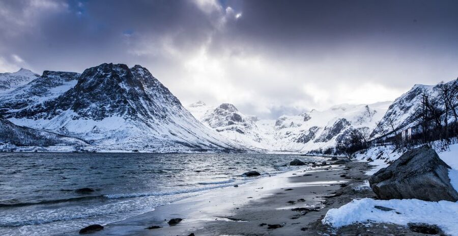 Arctic Nature Tour from Tromsø - The Kvaløya Circuit: Fjords, Beaches, Mountains, and Wildlife Chances