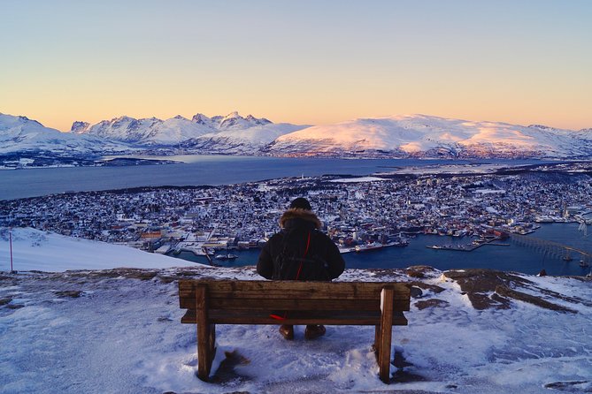 Arctic Panorama cable car excursion - The 3-hour format: what to expect from start to finish