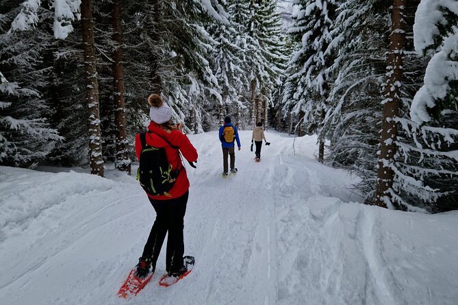 Arctic Snowshoe Hike in Norway - The guide experience: attentive, observant, and safety-first