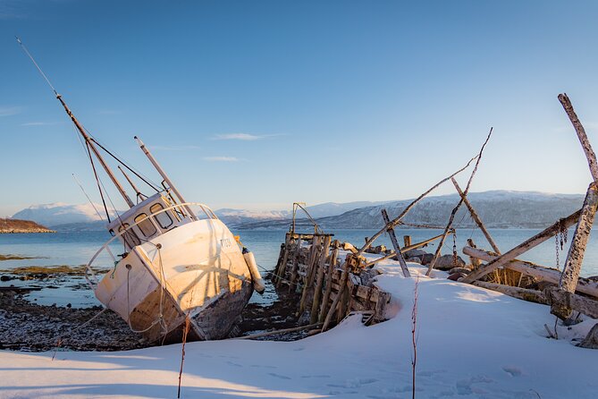Arctic Wildlife and Fjord Sightseeing - Kvaløya: the best kind of half-day Arctic itinerary from Tromsø