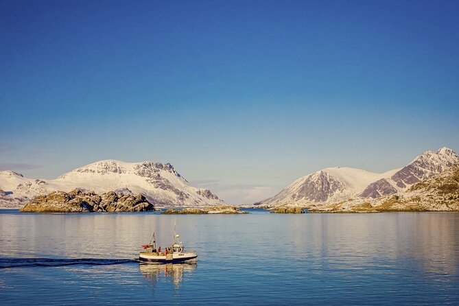 Arctic Wildlife and Fjord Sightseeing - Stop-by-stop: coastal roads, fjord viewpoints, and Store Blåmann views