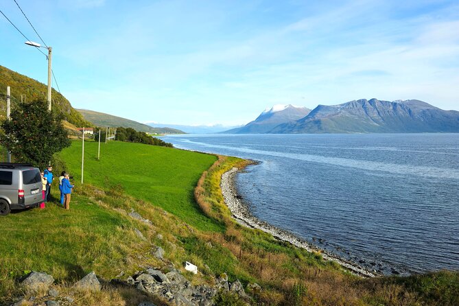 Arctic Wildlife and Fjord Sightseeing - Bryggejentene pier café: coffee, small-town texture, and a break from the van
