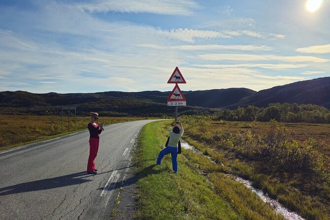 Arctic Wildlife and Fjord Sightseeing - Wildlife expectations: how to enjoy the day even when animals are quiet