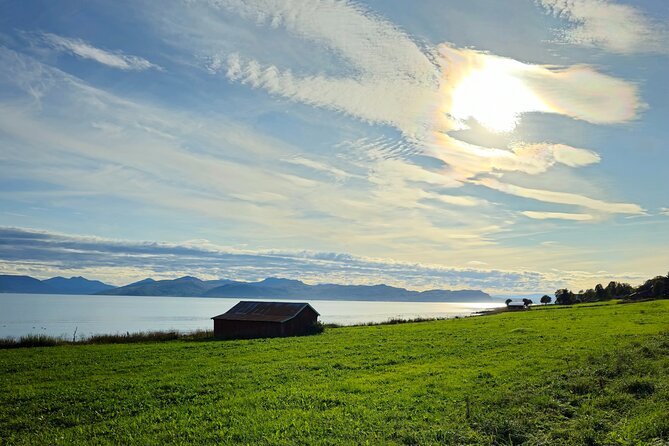 Arctic Wildlife and Fjord Sightseeing - Lunch, coffee, and break timing that keeps your brain from freezing