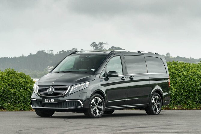 Arrival Private Transfer from Bergen Airport BGO to Bergen by luxury minivan - Key Things to Know Before You Go