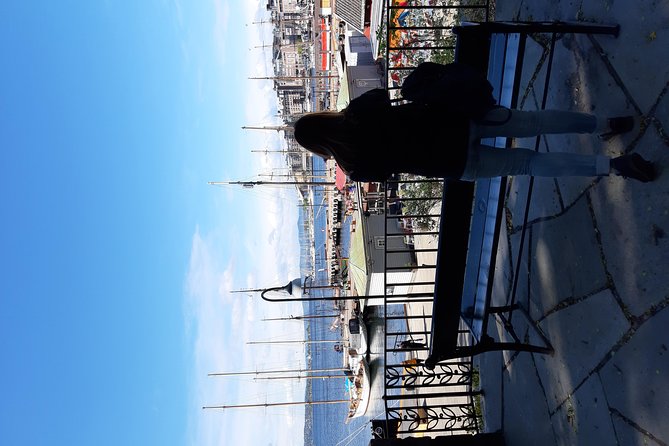 Art and Museum Tour of Oslo - City Centre sights: Aker Brygge to the Royal Palace area