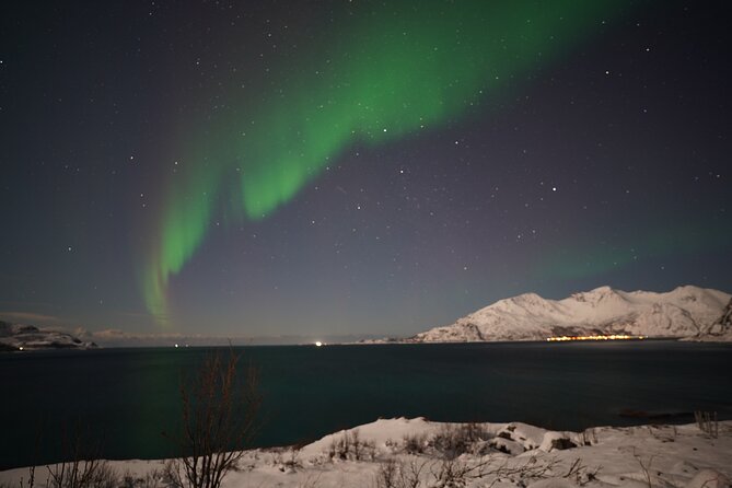 AURORA DAİLY Northern Lights Safari Tour 8 Guests with PİCKUP - Key points before you go