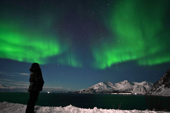 AURORA DAİLY Northern Lights Safari Tour 8 Guests with PİCKUP - Tromsø Aurora Chasing, the way this tour actually works