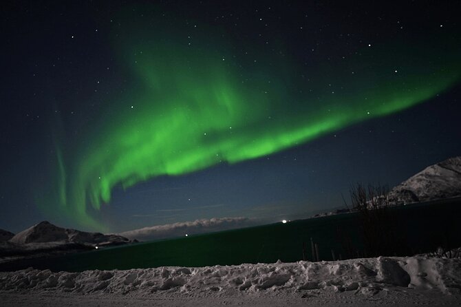 AURORA DAİLY Northern Lights Safari Tour 8 Guests with PİCKUP - Price and value at about $290.10 per person