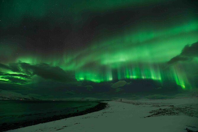 Aurora Hunt with Professional Photographer from Alta - Price and value: what $1,145 buys you in Alta