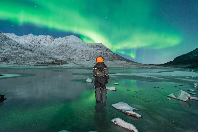 Aurora Hunt with the campfire and professional photographer - Aurora hunting from Tromso, minus the guesswork