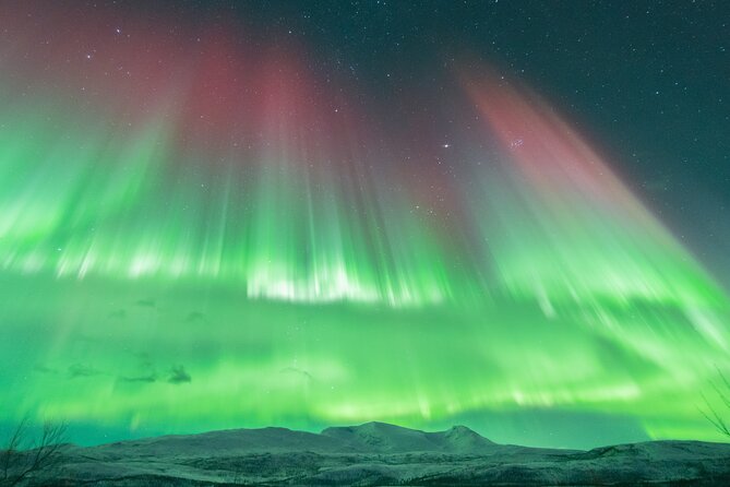 Aurora Hunt with the campfire and professional photographer - Who are the stars of the show? Guides and their style