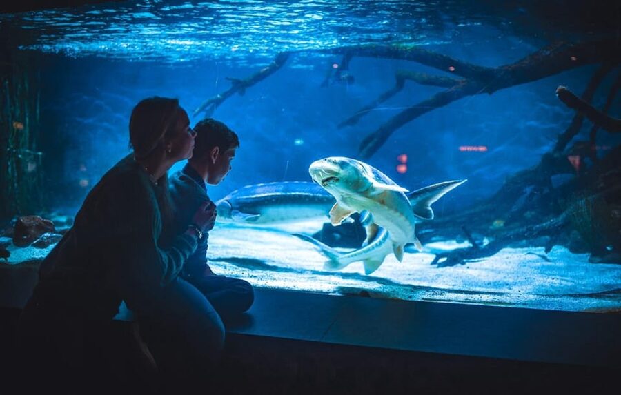 Bergen: Bergen Aquarium Entry Ticket - Key things you’ll notice right away